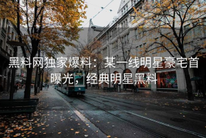 黑料网独家爆料：某一线明星豪宅首曝光，经典明星黑料