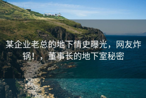 某企业老总的地下情史曝光，网友炸锅！，董事长的地下室秘密