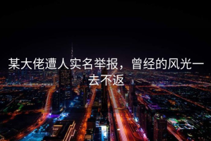 某大佬遭人实名举报，曾经的风光一去不返