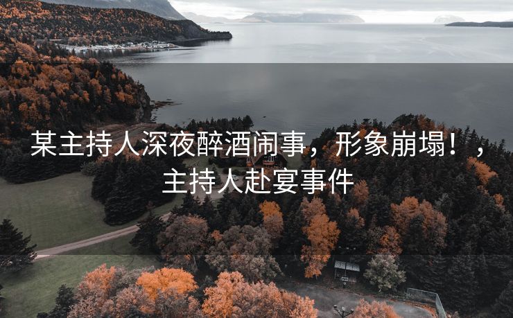某主持人深夜醉酒闹事，形象崩塌！，主持人赴宴事件