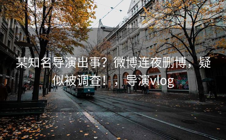 某知名导演出事？微博连夜删博，疑似被调查！，导演vlog