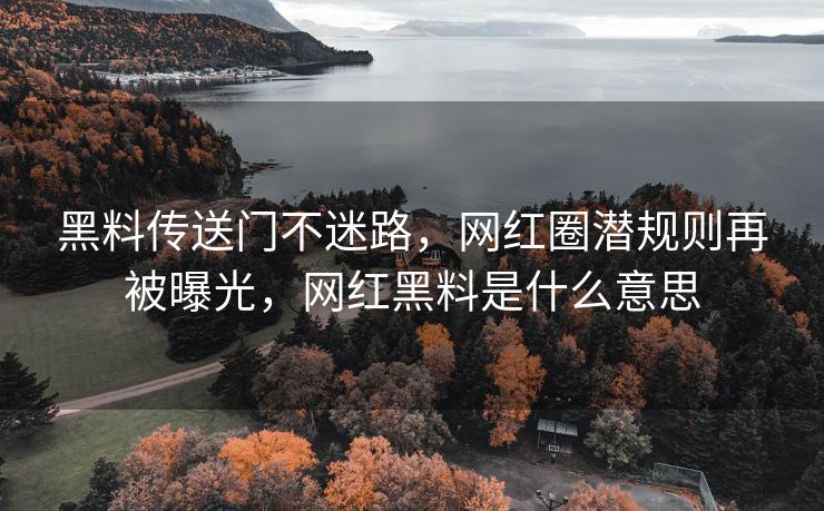 黑料传送门不迷路，网红圈潜规则再被曝光，网红黑料是什么意思