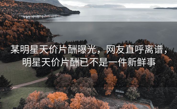 某明星天价片酬曝光，网友直呼离谱，明星天价片酬已不是一件新鲜事