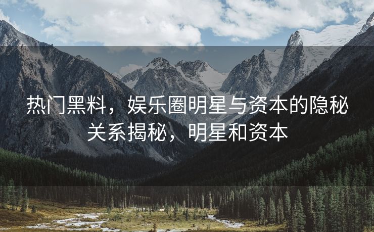 热门黑料，娱乐圈明星与资本的隐秘关系揭秘，明星和资本