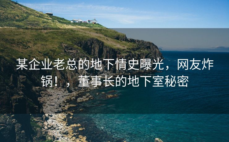 某企业老总的地下情史曝光，网友炸锅！，董事长的地下室秘密
