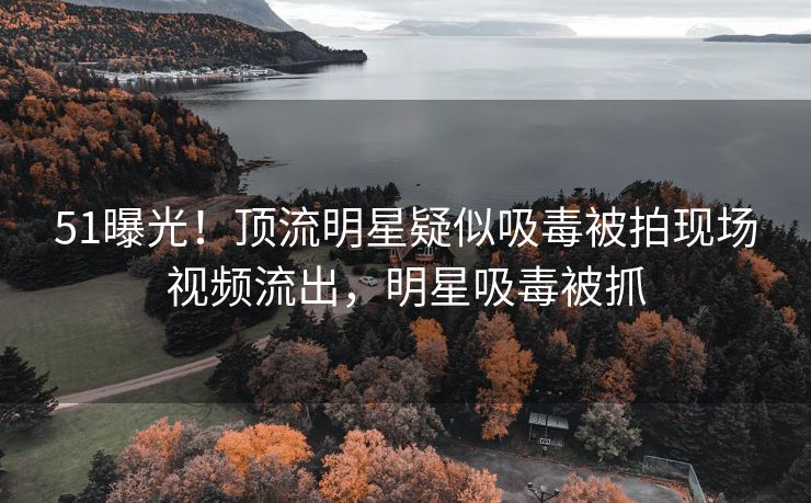 51曝光！顶流明星疑似吸毒被拍现场视频流出，明星吸毒被抓