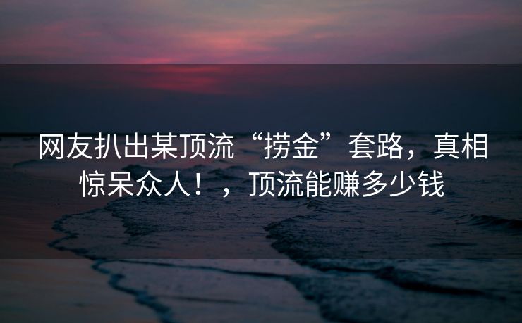 网友扒出某顶流“捞金”套路，真相惊呆众人！，顶流能赚多少钱