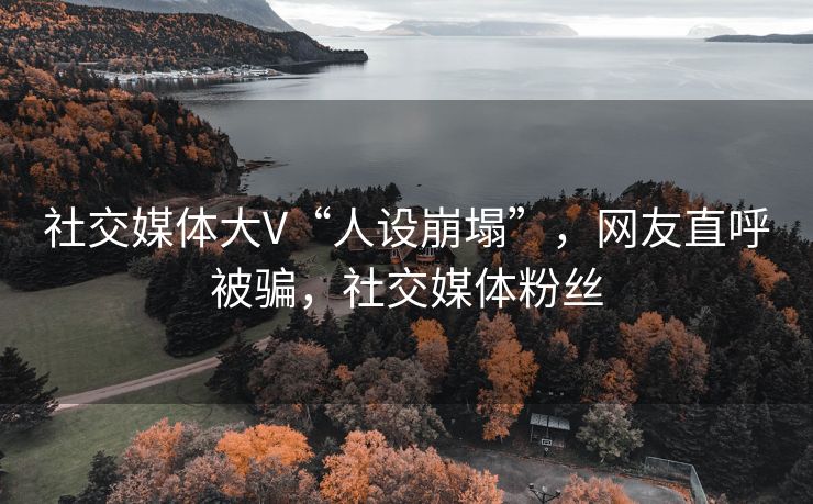 社交媒体大V“人设崩塌”，网友直呼被骗，社交媒体粉丝