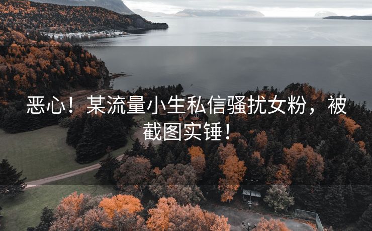恶心！某流量小生私信骚扰女粉，被截图实锤！